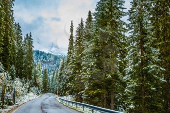 On the Alpine Pass Giau first snow fell. Road in the mountains among the snow-covered firs and pines. Winter has come