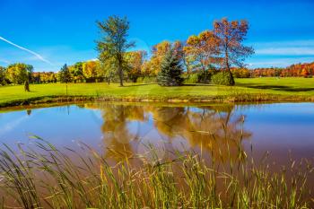  Concept of recreational tourism. Shining sunny day in French Canada. Small pond with a clay bottom is surrounded by reeds. Green grass lawn and trees with autumn leaves - red, orange and yellow