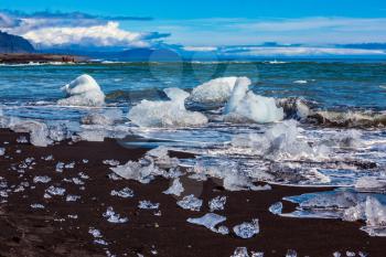 Iceland, Jokulsarlon. Beach with black - brown sand covered with ice shards. Icy Atlantic coast. The concept of extreme northern tourism