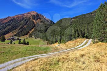 Valley in the mountains of Austria. The dirt path winds between yellowed fields. Sunny autumn day