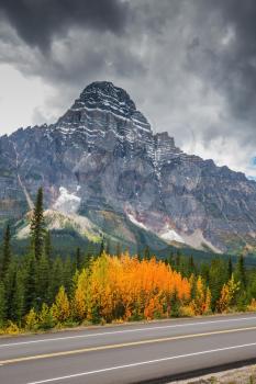 Canadian Rockies, Banff National Park in the autumn. Bright orange bush beside the road. Majestic mountains and glaciers on the background of cloudy sky