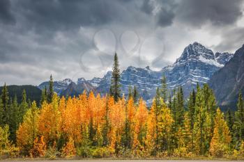  Majestic mountains and glaciers on the background of cloudy sky. Canadian Rockies, Banff National Park in the autumn. Bright orange bush beside the road