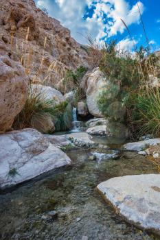 Picturesque rocky gorge with  noisy waterfall and rapid creek. Ein-Gedi - the reserve of Israel