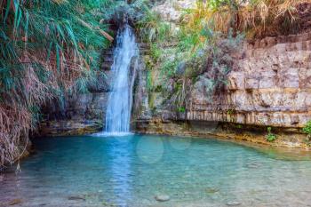 The beautiful waterfall and small deep lake with emerald water. Walk in the Ein Gedi - national park of Israel
