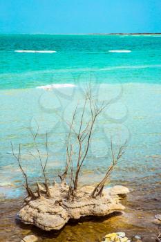 Forever Living Dead Sea. Picturesque islands of medicinal salt in the lake. Israel, spring. The concept of ecological tourism