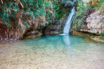 Beautiful waterfall and small scenic lake with clear water. Walk in the national park Ein Gedi, Israel
