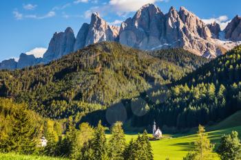  The symbol of the valley Val di Funes - church of Santa Maddalena. Rocky peaks and forested mountains surrounded by green Alpine meadows. Sunny day in  Dolomites
