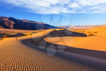 Woman - photographer in a striped T-shirt is among the sand dunes. Sunrise in the orange sands of the desert Mesquite Flat, USA