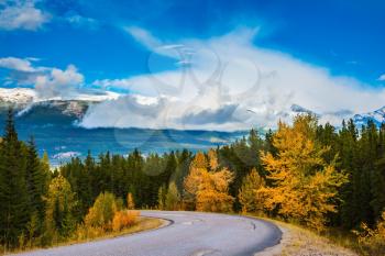 The road goes into the distance. Canadian Rockies in beautiful September day. Highway is among the mountains and forests yellowed
