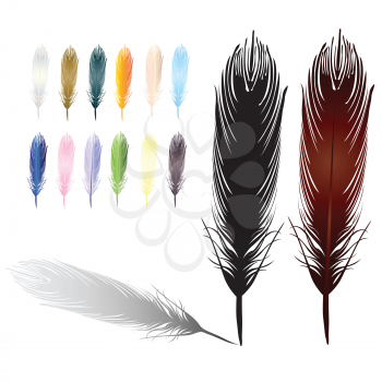 feathers colored collection