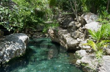 River in the Mayan Riviera