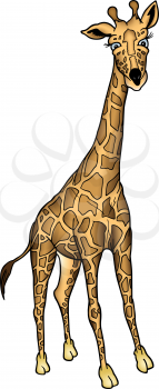 Royalty Free Clipart Image of a Giraffe