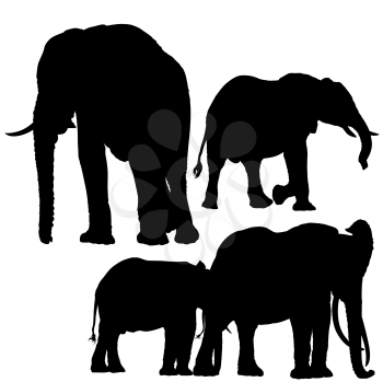 Elephants Clipart