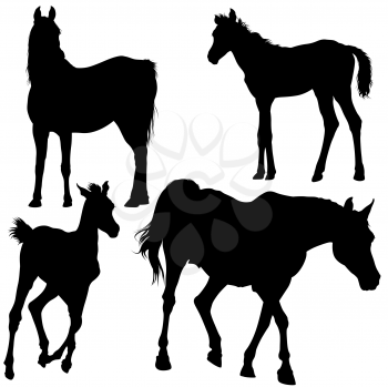 Horses Clipart