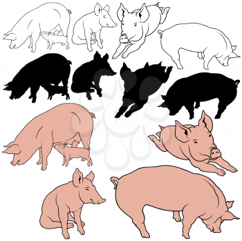 Pigs Clipart
