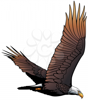 Eagle Clipart