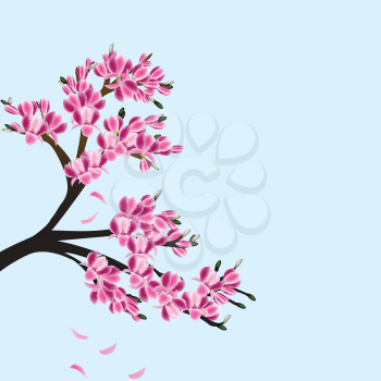 Illustration of a magnolia tree