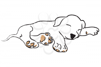 Hand drawing sleeping puppy on white background