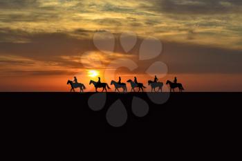 Horse rider silhouettes at sunrise