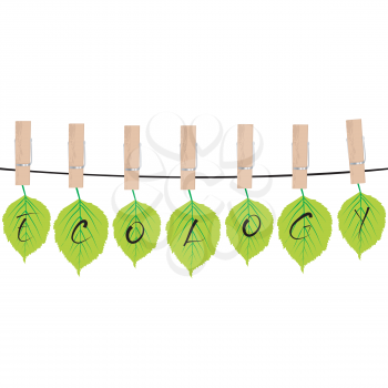 Ecology concept with green leaves hanging on rope  in cloth pegs