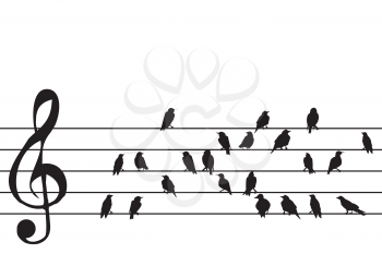 Abstract music stave with birds silhouette