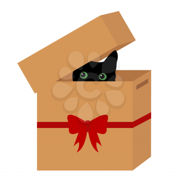 Black cat in a box with red ribbon