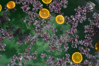 Abstract background with lilacs flowers and orange slices in a green water
