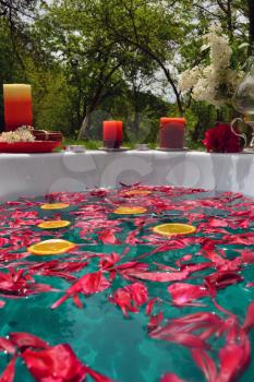 Abstract background with red peony flowers and orange slices in a bathtub outdoor