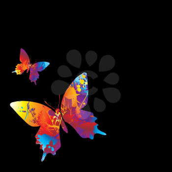 Royalty Free Clipart Image of Two Butterflies on Black