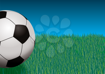 Royalty Free Clipart Image of a Ball on Grass