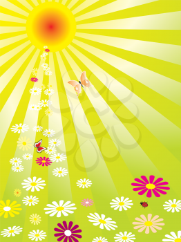 Royalty Free Clipart Image of an Illustration of the Sun and Daisies