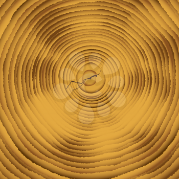 Royalty Free Clipart Image of Tree Rings