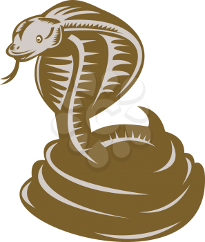 Coiled Clipart