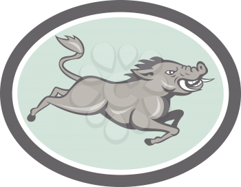 Illustration of a wild pig boar razorback jumping on isolated background done in cartoon style set inside oval.