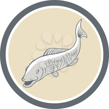 Illustration of a trout fish swimming set inside circle on isolated background done in cartoon style.