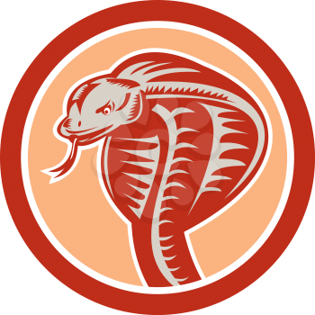 Illustration of a cobra viper snake serpent head with tongue out set inside circle on isolated background done in retro style.