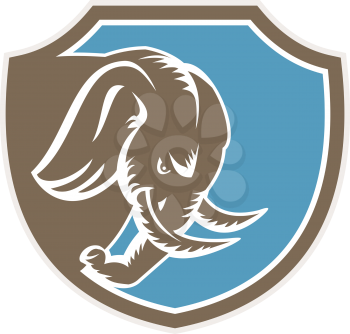 Illustration of an angry elephant head with tusk facing down viewed from the side set inside shield crest on isolated background done in retro style. 