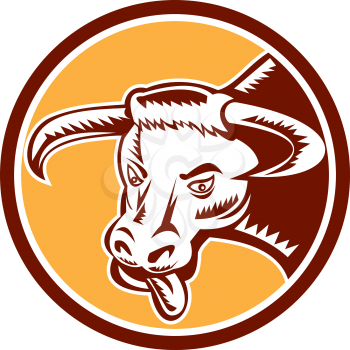 Illustration of an angry raging texas longhorn bull head with tongue out set inside circle on isolated background done in retro woodcut style.