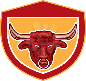 Illustration of a bull head in front view set inside crest shield done on isolated background in retro style.