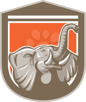 Illustration of an elephant head with tusk looking up set inside shield crest on isolated background done in retro style.