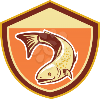 Illustration of a trout fish swimming down set inside shield done in retro style