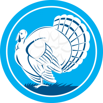 Illustration of a wild turkey standing facing side on isolated background set inside circle done in retro style.