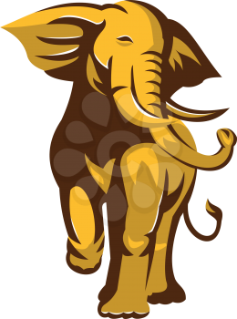 vector illustration of an african bull elephant charging facing front on isolated white background  done in retro style.