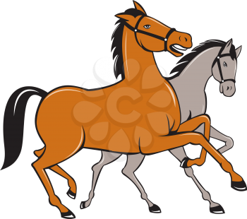 Illustration of two horses prancing side by side set on isolated white background done in cartoon style. 