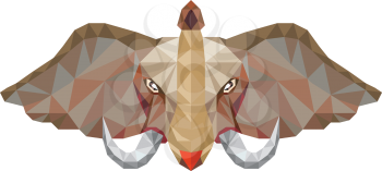 Low polygon style illustration of an elephant head with tusk viewed from front set on isolated white background. 