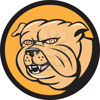 Illustration of a bulldog head looking to the side set inside circle on isolated background done in cartoon style. 