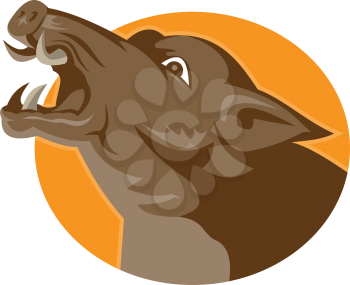vector illustration of an angry wild pig hog razorback head set inside circle done in retro style.