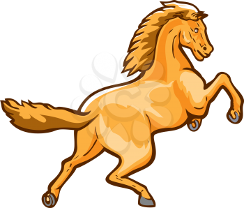 Illustration of a colt horse prancing viewed from rear set on isolated white background done in retro style.