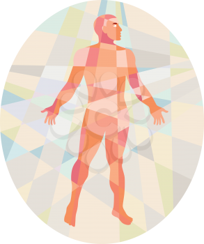 Low polygon style illustration of a gross anatomy male with hands on the side viewed from front set inside oval. 