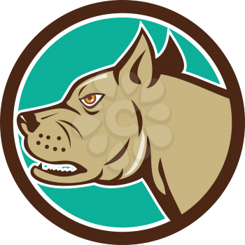 Illustration of a head of an angry mastiff dog mongrel viewed from side set inside circle on isolated background done in cartoon style.
